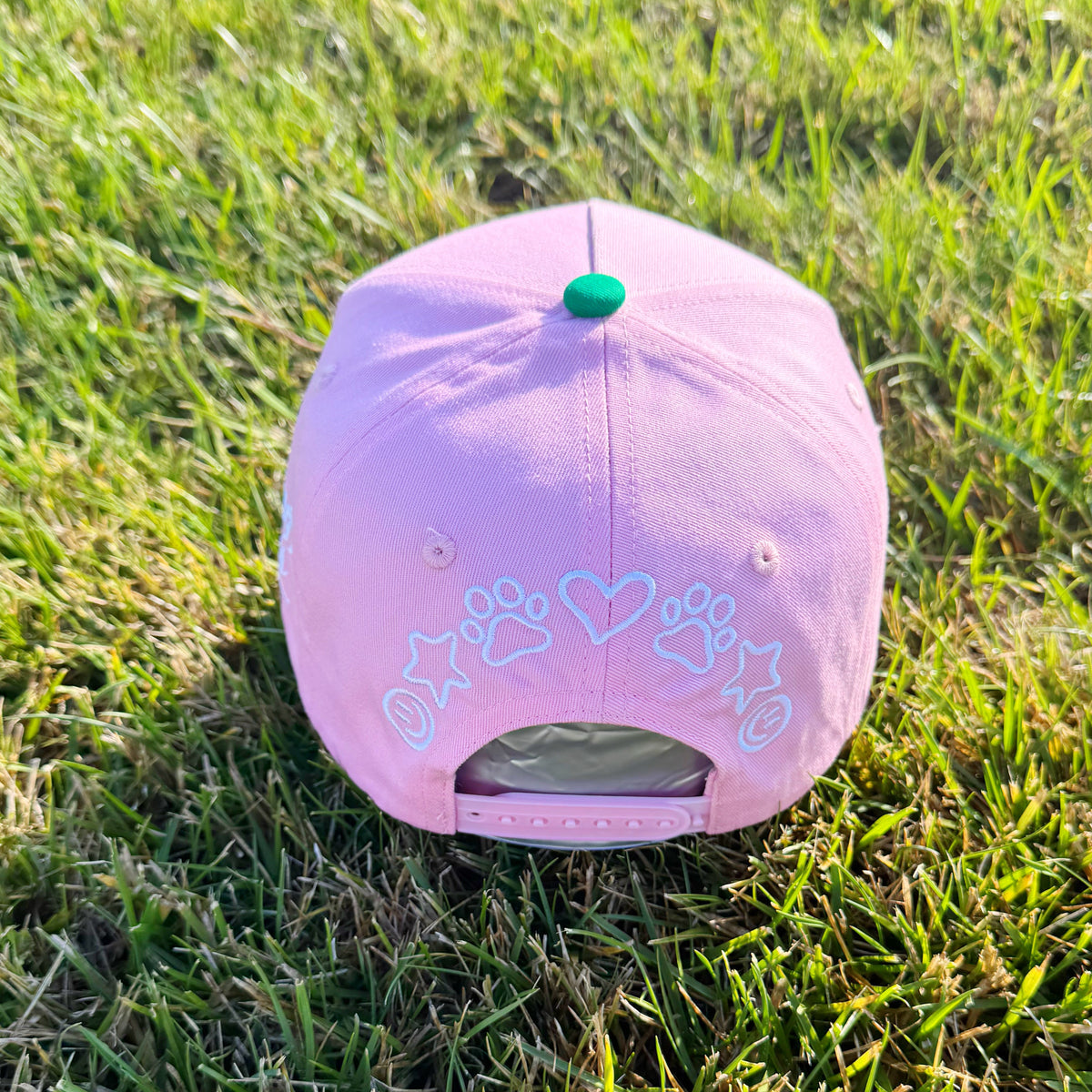 Anything is Pawsible Hat