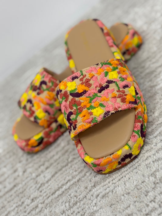 Embroidered Multi Colored Sandals