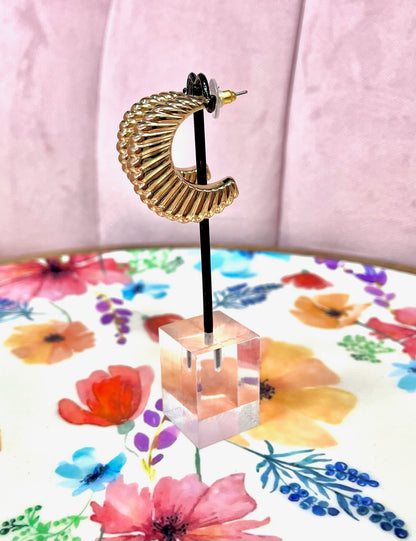 Gold Shell Earrings FS