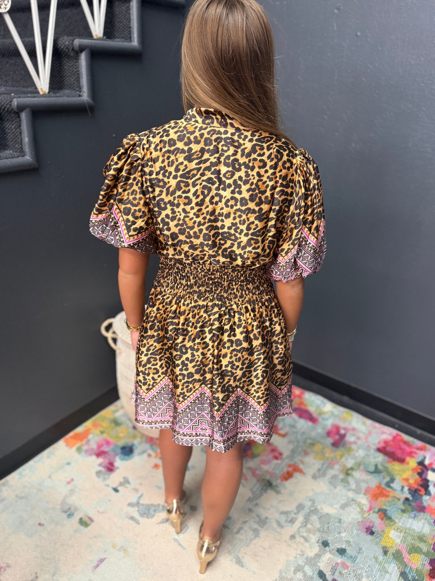 Leopard Print Cinched Waist V-Neck Dress