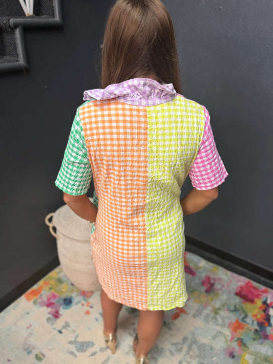 Adrienne Multi Sheer Gingham Ruffle Collar A Line Dress