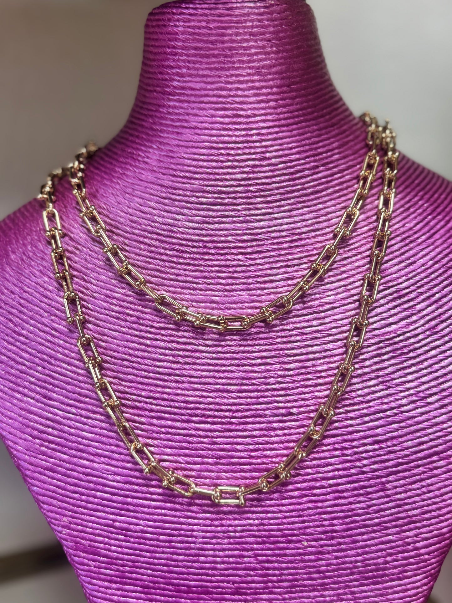 Extra Long Horsebit Necklace - Water Resistant (Silver & Gold)
