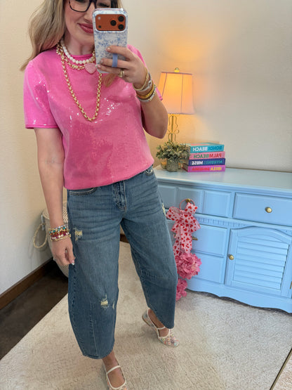 Bubble Gum Tiny Sequins Covered Sweater Top