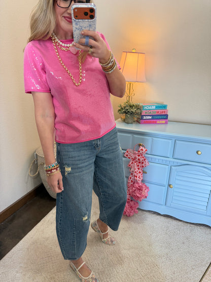 Bubble Gum Tiny Sequins Covered Sweater Top