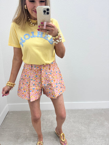 Floral Embroidered Pleated High Waisted Flair Shorts FS