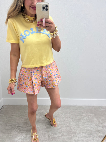 Floral Embroidered Pleated High Waisted Flair Shorts FS