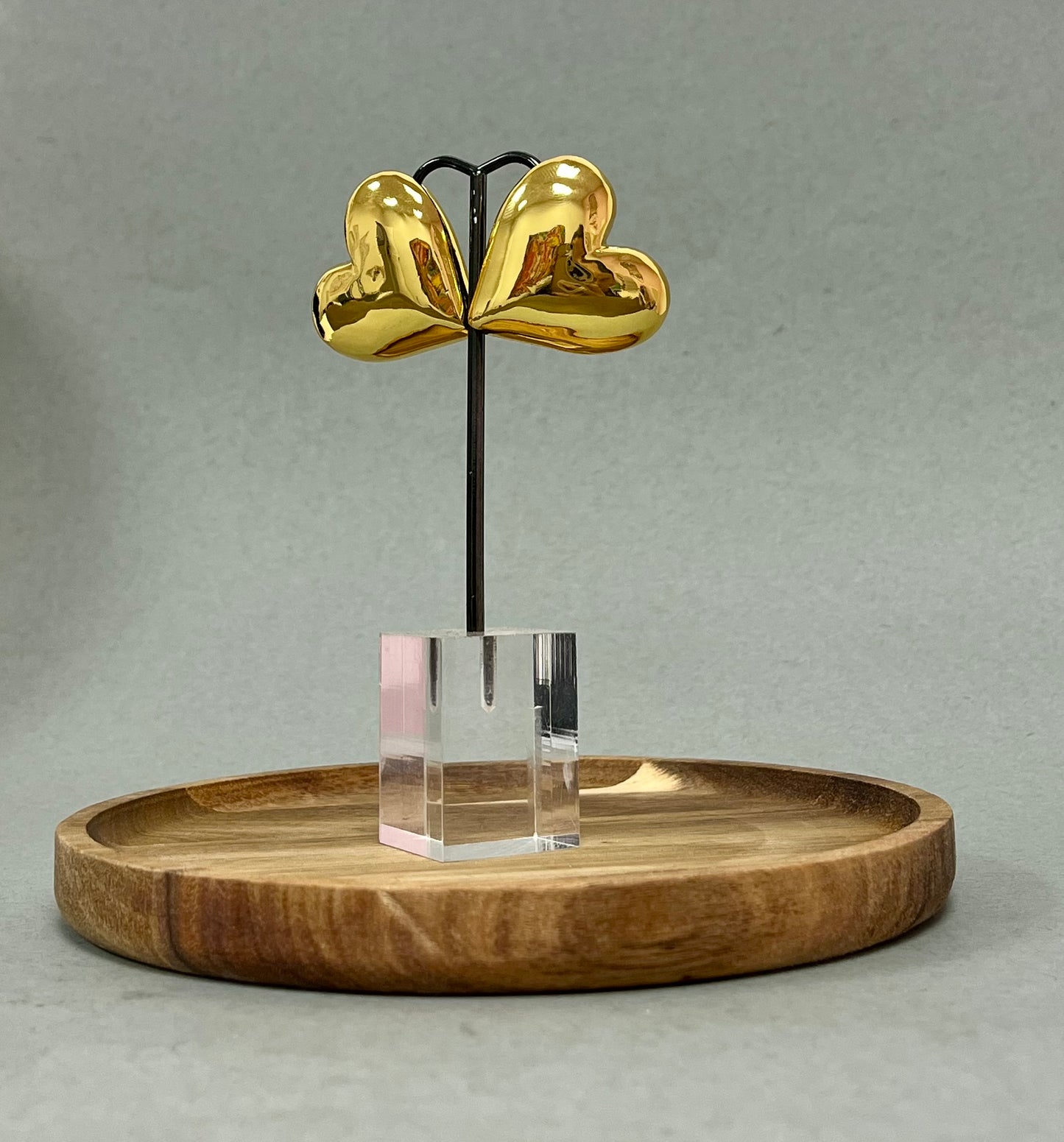 Stainless Steel Heart Earrings