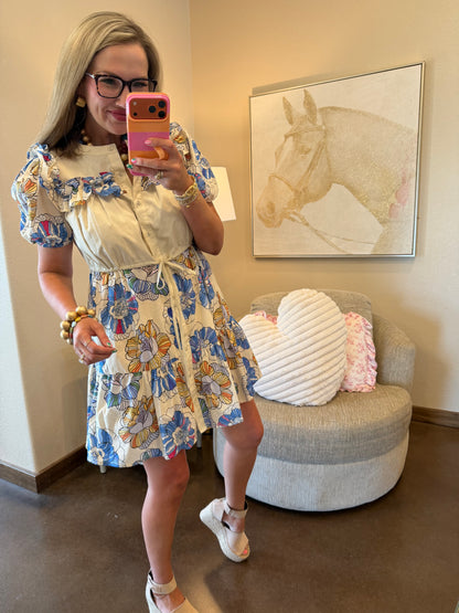 Blue Mix Mandarin Neck Button Up Mini Dress